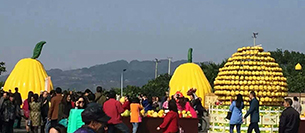 深夜福利在线播放成人深夜APP在线音响设备注入梁平采柚节开幕式