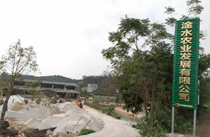 茂名展示厅音响工程案例-【深夜福利在线播放】