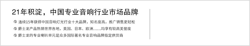 21年积淀，中国专业音响行业市场品牌
